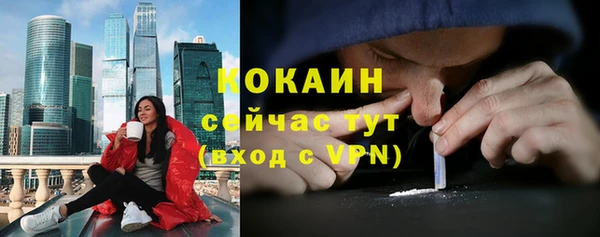 стафф Вяземский