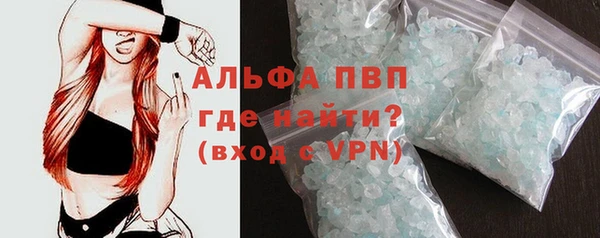 стафф Вяземский
