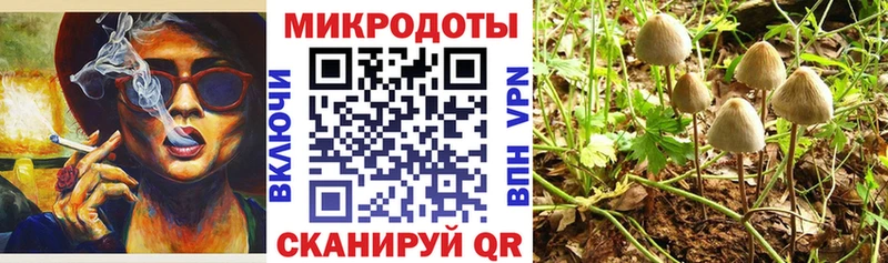 Галлюциногенные грибы мухоморы  где купить наркотик  Брянск 